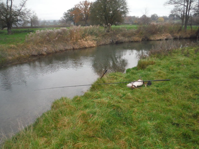Trotting stream at Eyton
